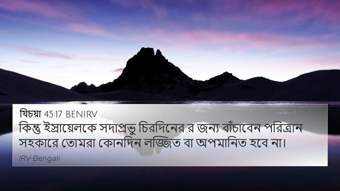 যিচয়া 45:17 BENIRV Bible Verse Image