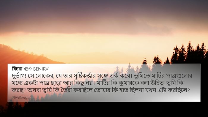 যিচয়া 45:9 BENIRV Bible Verse Image