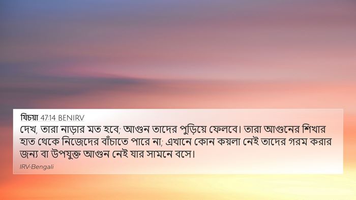 যিচয়া 47:14 BENIRV Bible Verse Image