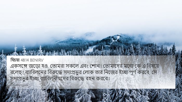 যিচয়া 48:14 BENIRV Bible Verse Image
