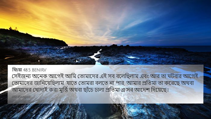 যিচয়া 48:5 BENIRV Bible Verse Image