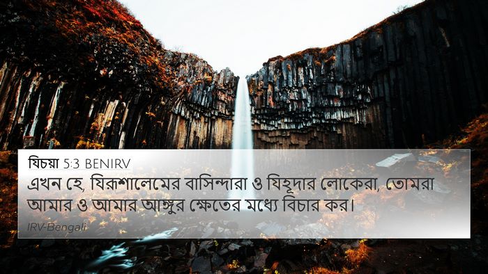 যিচয়া 5:3 BENIRV Bible Verse Image