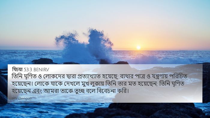 যিচয়া 53:3 BENIRV Bible Verse Image