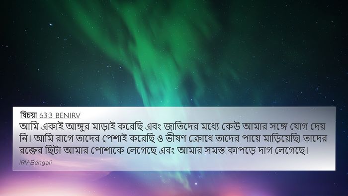 যিচয়া 63:3 BENIRV Bible Verse Image