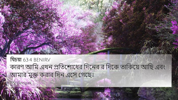 যিচয়া 63:4 BENIRV Bible Verse Image