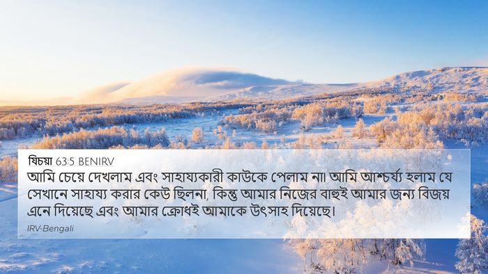 যিচয়া 63:5 BENIRV Bible Verse Image