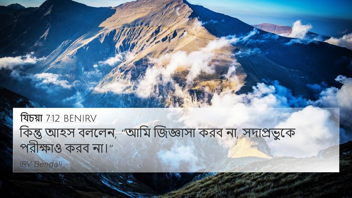 যিচয়া 7:12 BENIRV Bible Verse Image