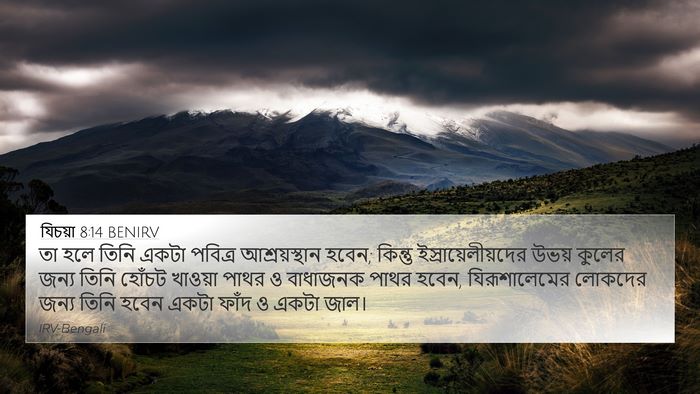 যিচয়া 8:14 BENIRV Bible Verse Image