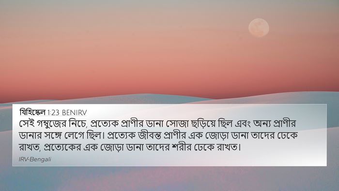 যিহিষ্কেল 1:23 BENIRV Bible Verse Image