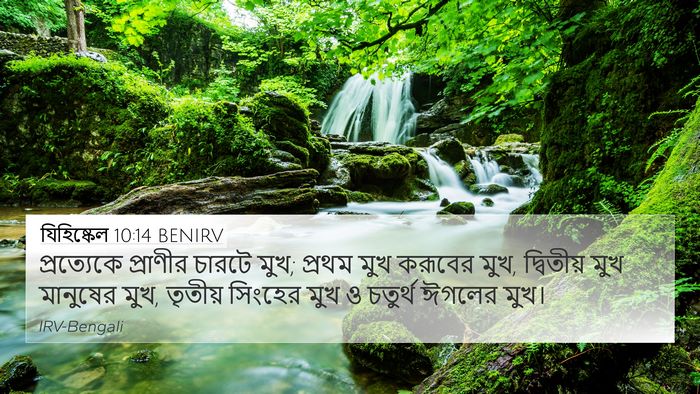 যিহিষ্কেল 10:14 BENIRV Bible Verse Image