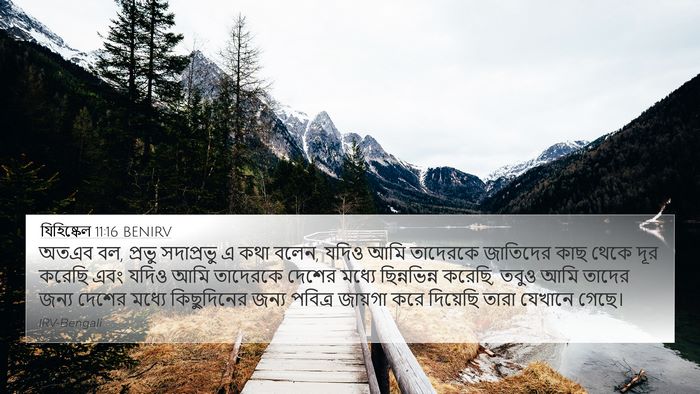 যিহিষ্কেল 11:16 BENIRV Bible Verse Image