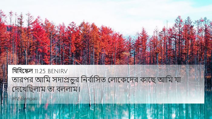 যিহিষ্কেল 11:25 BENIRV Bible Verse Image