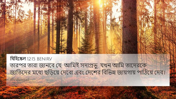 যিহিষ্কেল 12:15 BENIRV Bible Verse Image