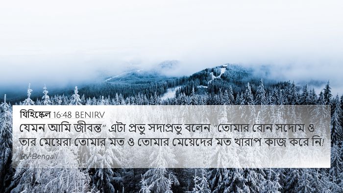 যিহিষ্কেল 16:48 BENIRV Bible Verse Image