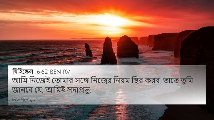 যিহিষ্কেল 16:62 BENIRV Bible Verse Image