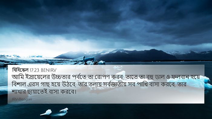 যিহিষ্কেল 17:23 BENIRV Bible Verse Image