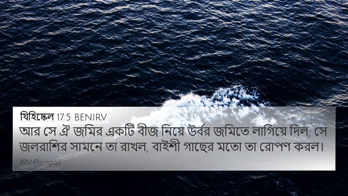 যিহিষ্কেল 17:5 BENIRV Bible Verse Image