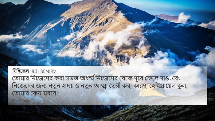 যিহিষ্কেল 18:31 BENIRV Bible Verse Image