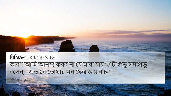 যিহিষ্কেল 18:32 BENIRV Bible Verse Image