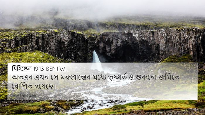 যিহিষ্কেল 19:13 BENIRV Bible Verse Image