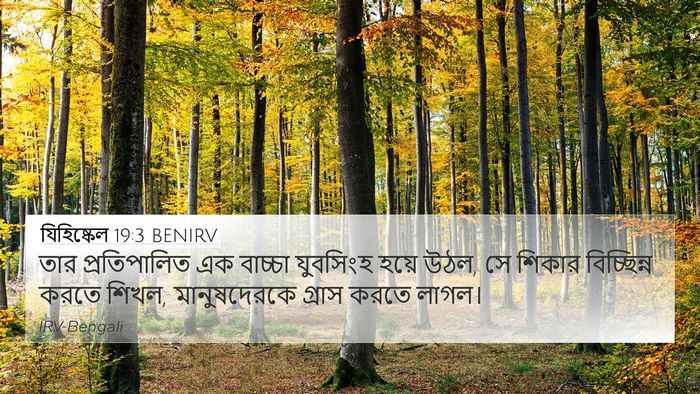 যিহিষ্কেল 19:3 BENIRV Bible Verse Image
