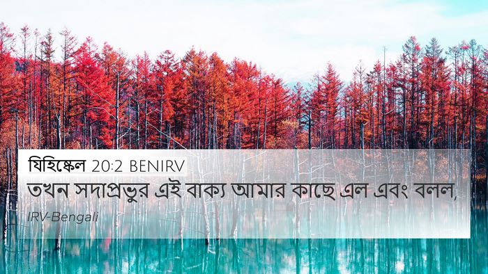 যিহিষ্কেল 20:2 BENIRV 4K Wallpaper - তখন সদাপ্রভুর এই - 4K Wallpaper Bible Verse