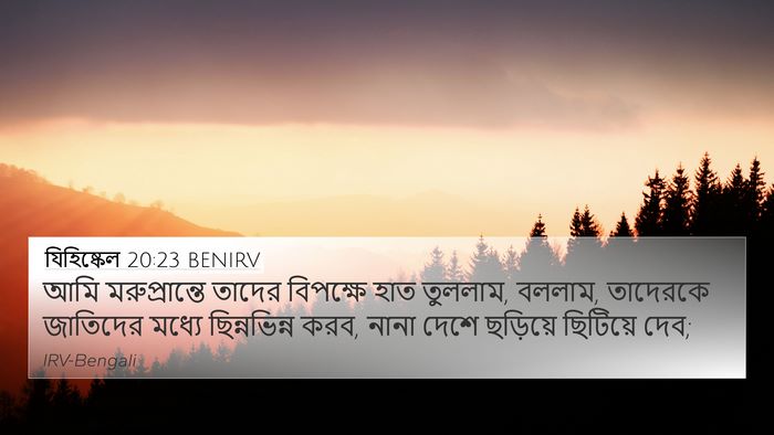 যিহিষ্কেল 20:23 BENIRV Bible Verse Image