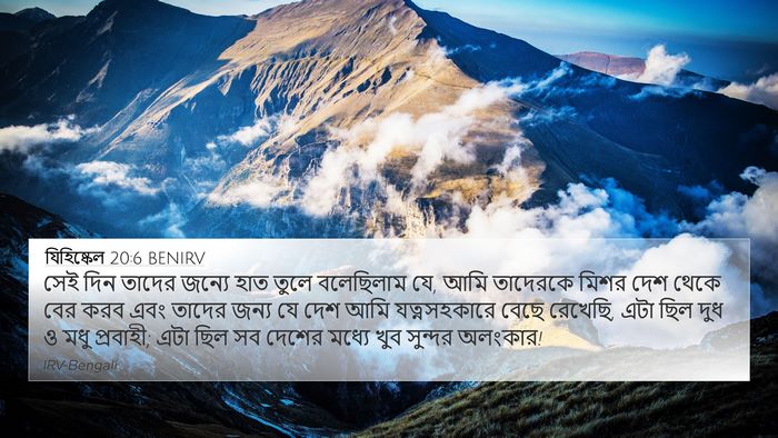 যিহিষ্কেল 20:6 BENIRV Bible Verse Image