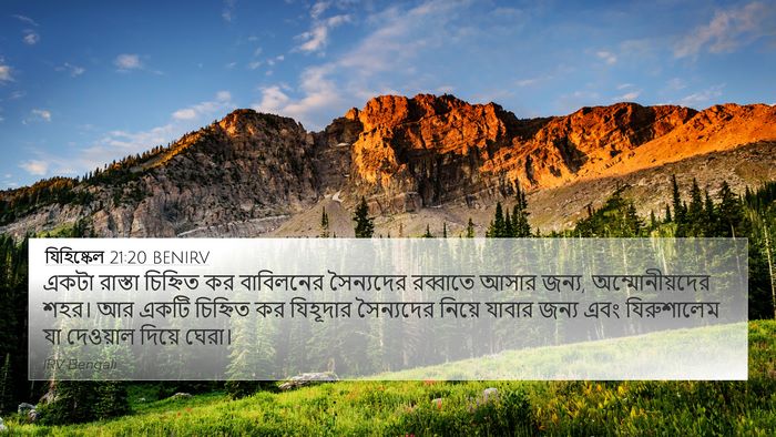 যিহিষ্কেল 21:20 BENIRV Bible Verse Image