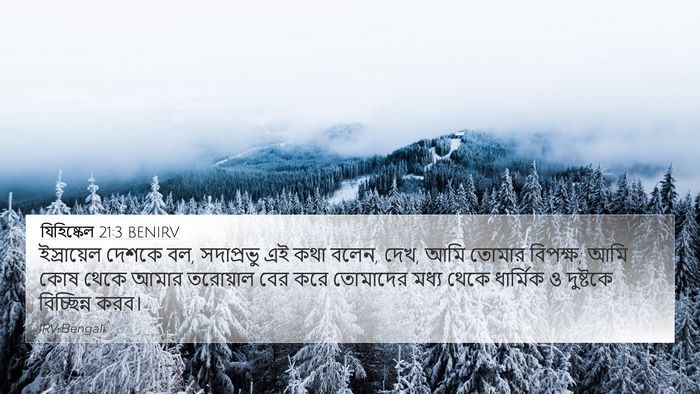 যিহিষ্কেল 21:3 BENIRV Bible Verse Image