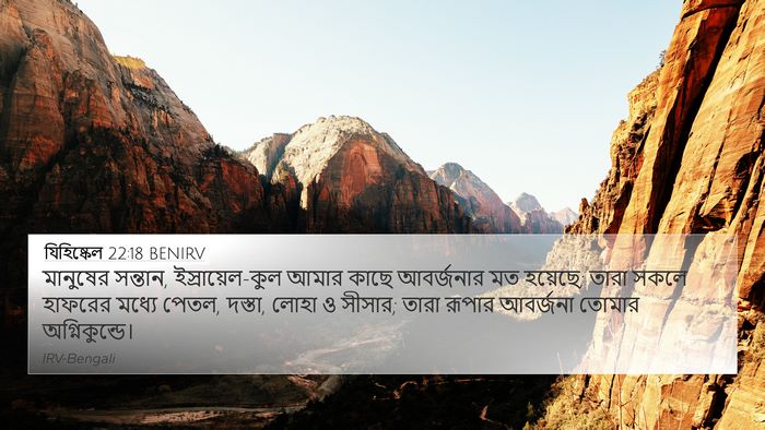যিহিষ্কেল 22:18 BENIRV Bible Verse Image
