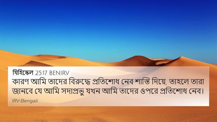 যিহিষ্কেল 25:17 BENIRV Bible Verse Image