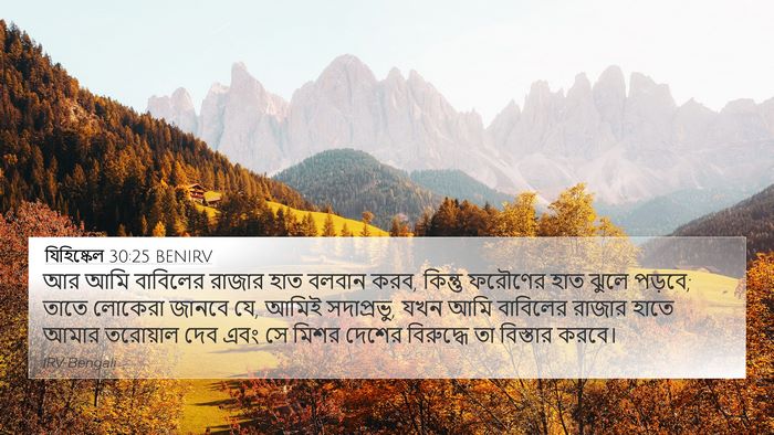 যিহিষ্কেল 30:25 BENIRV Bible Verse Image