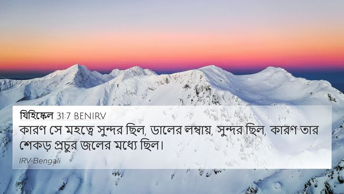 যিহিষ্কেল 31:7 BENIRV 4K Wallpaper - কারণ সে মহত্বে - 4K Wallpaper Bible Verse