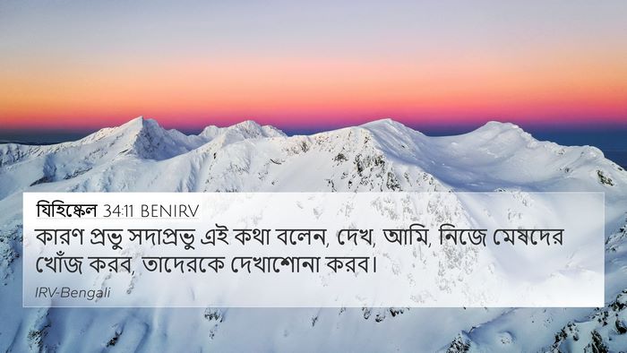 যিহিষ্কেল 34:11 BENIRV Bible Verse Image