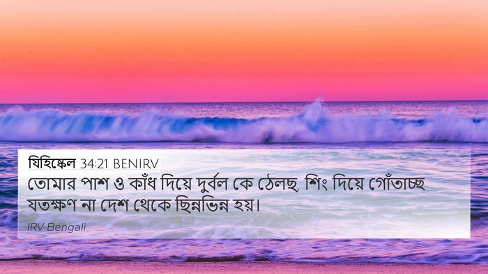 যিহিষ্কেল 34:21 BENIRV Bible Verse Image