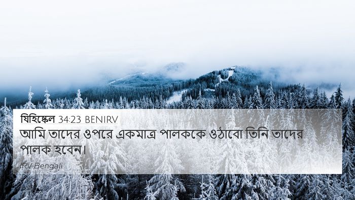যিহিষ্কেল 34:23 BENIRV Bible Verse Image