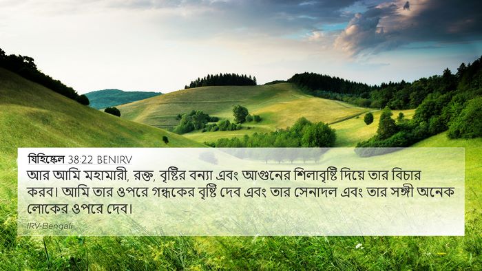 যিহিষ্কেল 38:22 BENIRV Bible Verse Image