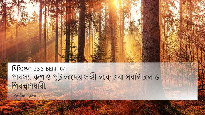 যিহিষ্কেল 38:5 BENIRV Bible Verse Image