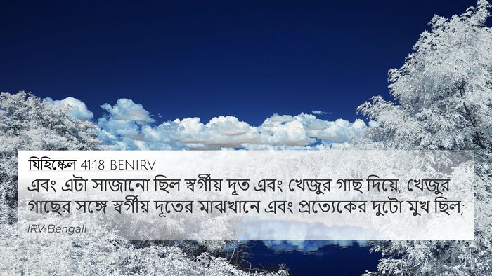 যিহিষ্কেল 41:18 BENIRV Bible Verse Image