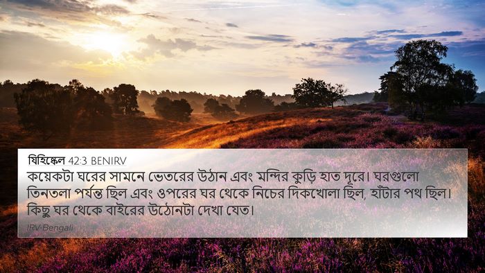 যিহিষ্কেল 42:3 BENIRV Bible Verse Image