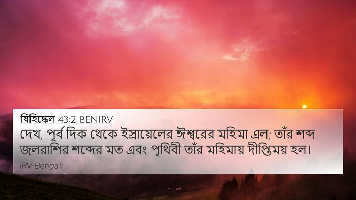 যিহিষ্কেল 43:2 BENIRV Bible Verse Image