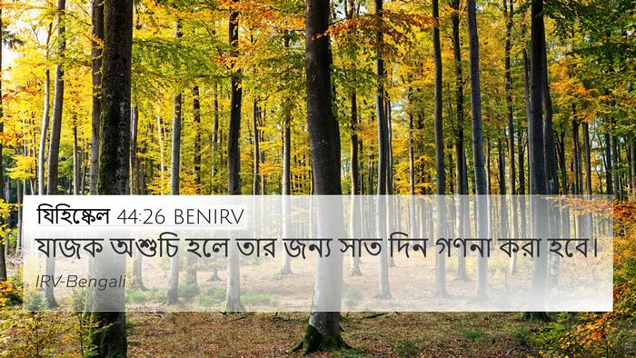 যিহিষ্কেল 44:26 BENIRV 4K Wallpaper - যাজক অশুচি হলে তার - 4K Wallpaper Bible Verse