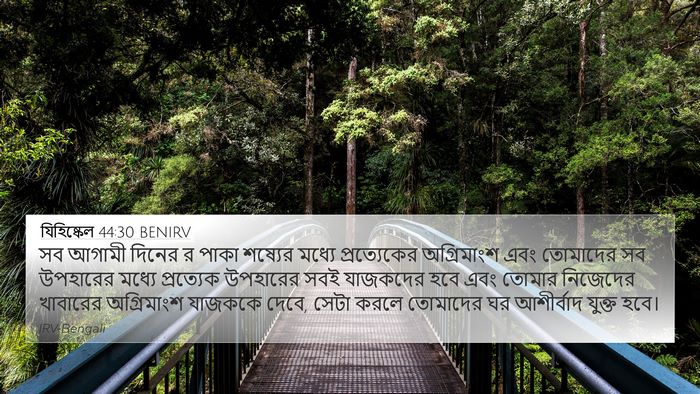 যিহিষ্কেল 44:30 BENIRV Bible Verse Image