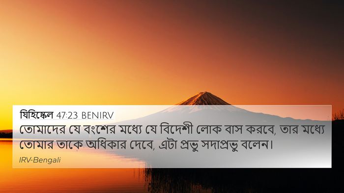 যিহিষ্কেল 47:23 BENIRV 4K Wallpaper - তোমাদের যে বংশের - 4K Wallpaper Bible Verse