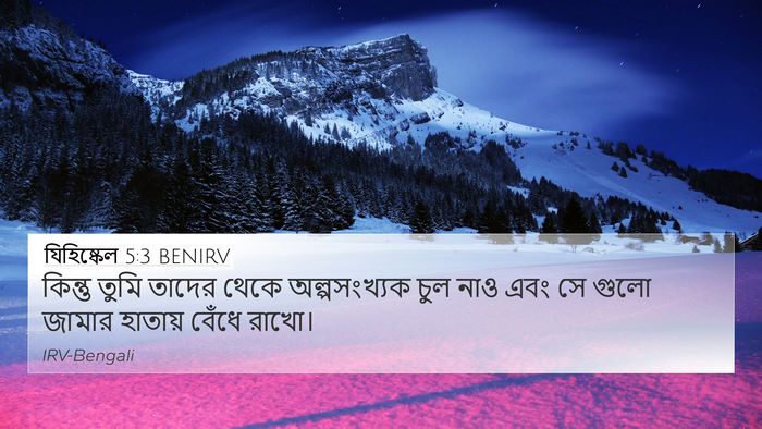 যিহিষ্কেল 5:3 BENIRV Bible Verse Image