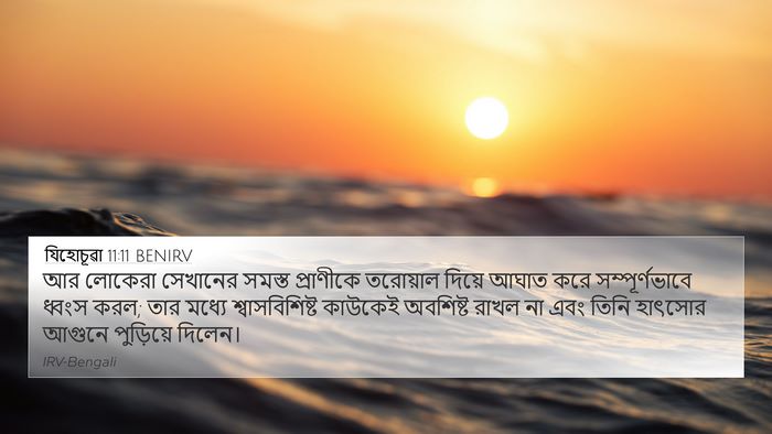 যিহোচূৱা 11:11 BENIRV Bible Verse Image