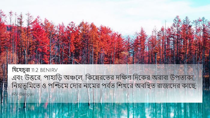 যিহোচূৱা 11:2 BENIRV Bible Verse Image
