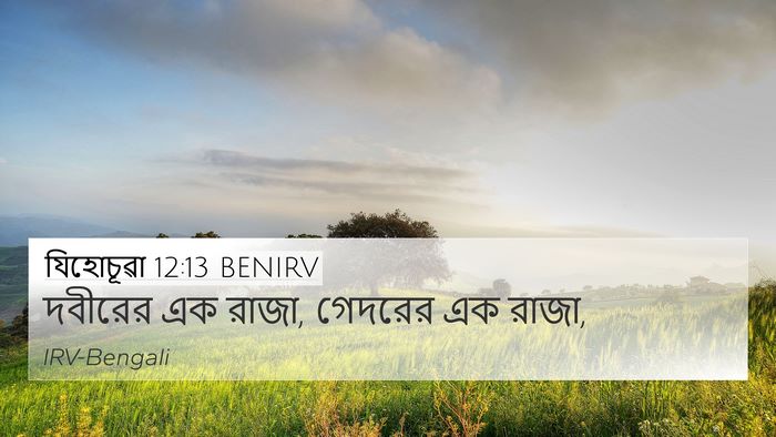 যিহোচূৱা 12:13 BENIRV 4K Wallpaper - দবীরের এক রাজা, - 4K Wallpaper Bible Verse