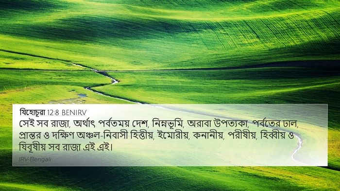 যিহোচূৱা 12:8 BENIRV 4K Wallpaper - সেই সব রাজা, অর্থাৎ - 4K Wallpaper Bible Verse